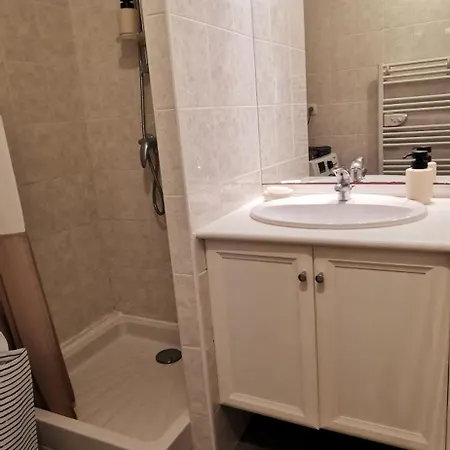 T2 L'ile De Avec Parking Prive