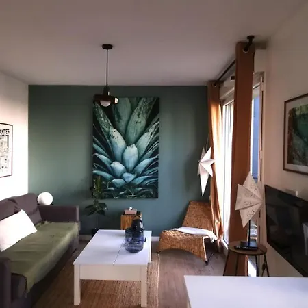 T2 L'ile De Avec Parking Prive Nantes